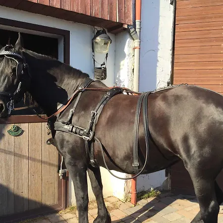 Ferien Im Gutspark Schwarbe Mit Re בית חווה *