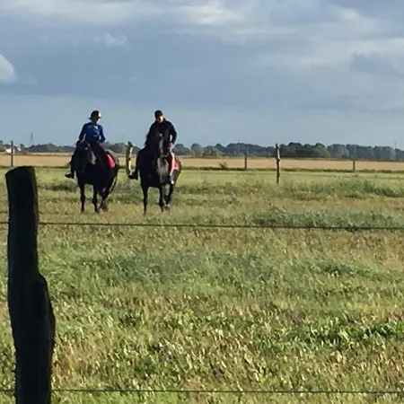 Ferien Im Gutspark Schwarbe Mit Re * Mattchow